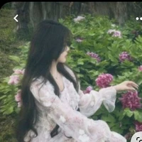 Di Di