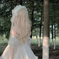 Dì Lưu
