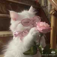 Canh giữ thế giới : Flash