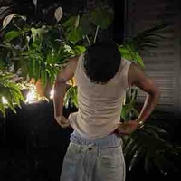 Nguyễn Trí Dương