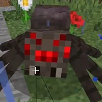 spider