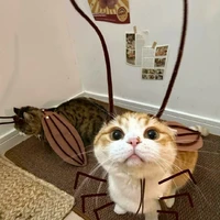 tác giả