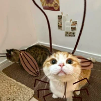 tác giả