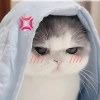 bông 