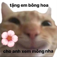 Độc giả đói otp:)))