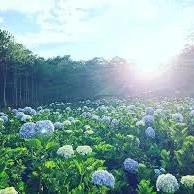 T/G yêu Tổ Quốc ❤️