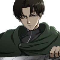 Levi