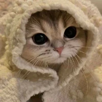 Yan_kun