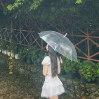         T/giả xinh đẹp 