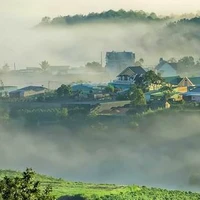 Tiểu Hy
