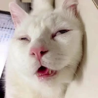 Người chồng xàm xí