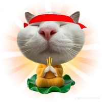 cả lớp