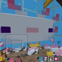 bố m cân tất cả nv8