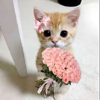 Bà Min t/g mát mát tẻn tẻn🐧