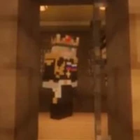 đội trưởng (Fake)