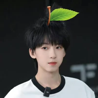 Dương Bác Văn