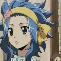 Levy McGarden