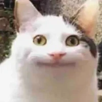 buý ỉn :)