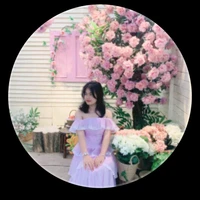 Lê Nguyễn Quỳnh Anh BT 3N9