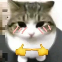 t/g