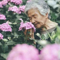 Mẹ quả quả