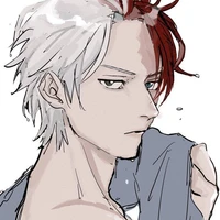 Shoto Todoroki [Đá nóng]