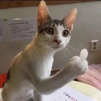 tui tác giả nè 