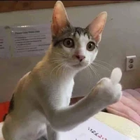 tui tác giả nè 