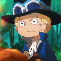 Sabo