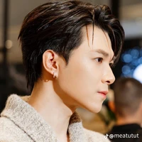 Bùi Anh Tú