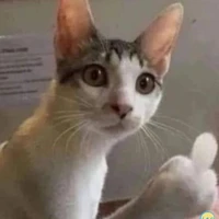 all nhân vật [- ai thì trừ ]