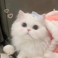 T/G