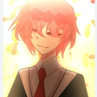 TT hiha