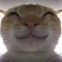 all (trừ những người cần trừ)