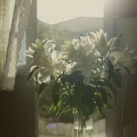 ~ All ᴘᴇᴇᴏᴘʟᴇ ᴘʀᴇsᴇɴᴛ ~