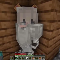 ~ ᴅᴏɴ ~