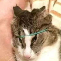 ừm có thể là các độc giả 😇