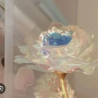 𝙷𝚒𝚑𝚊 𝚊𝚞𝚝