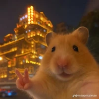 zyzy (Tác giả)