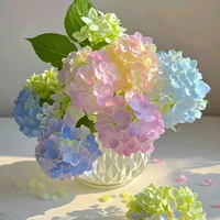 hệ thống 165