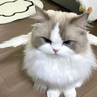 Tác giả