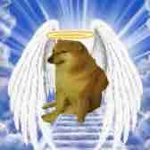 Doge(noob)
