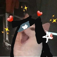 chị t/g