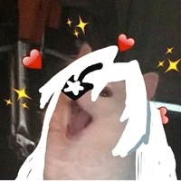 t/g