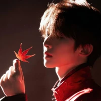 hongfengye.tpv|Trạch Phong Vân²³_♌︎