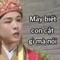 Cả hai