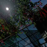 Tác giả mê trinh thám kinh dị.