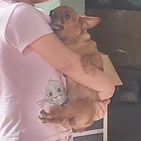 t/g cuteee đâyyy