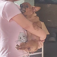 t/g cuteee đâyyy