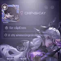 Tg siu cấp đz 